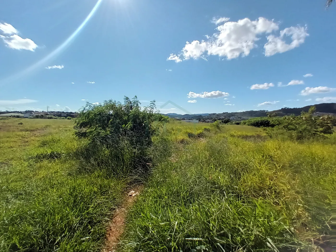 Terreno à venda, 36000m² - Foto 5