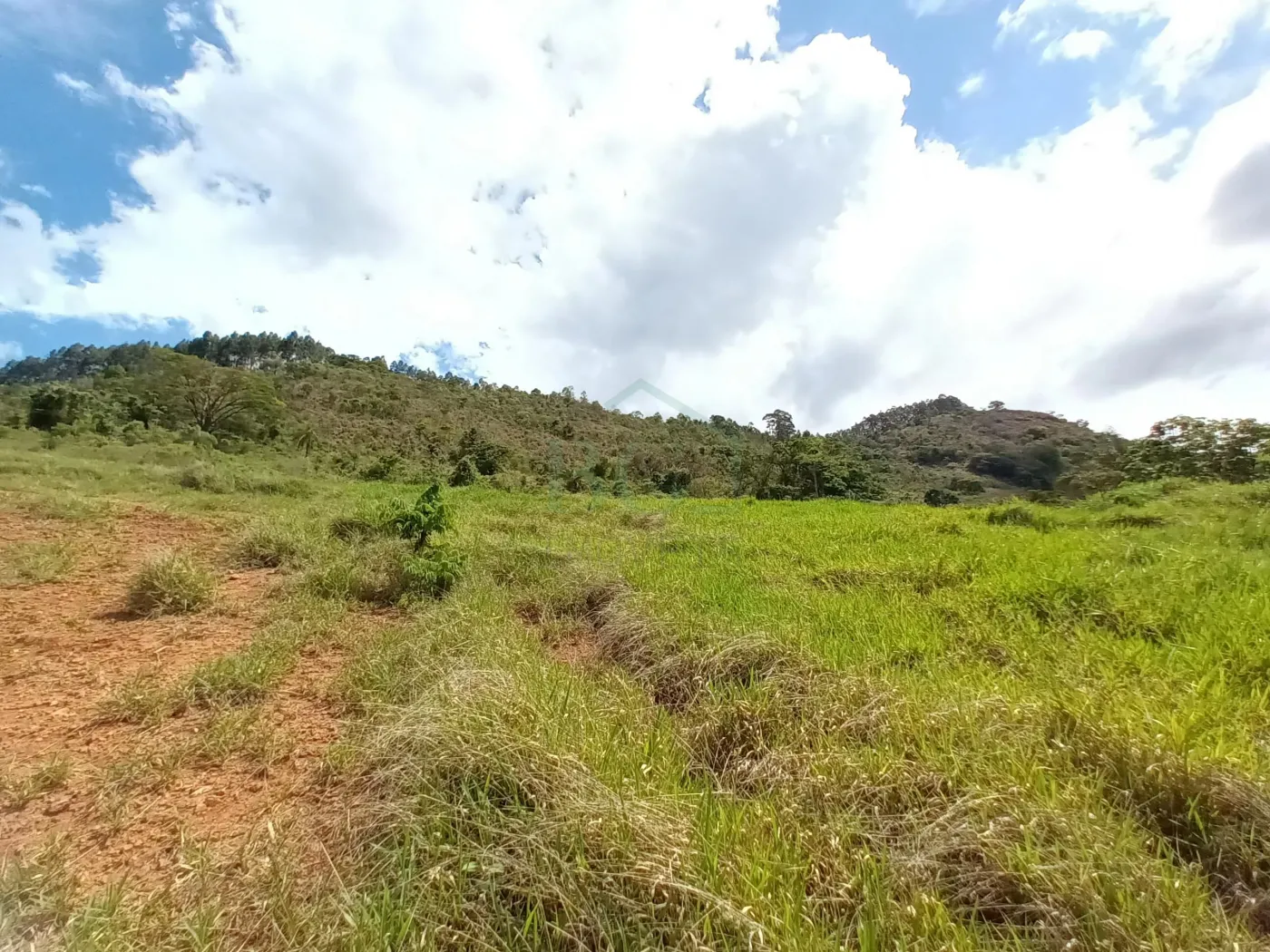 Terreno à venda, 40000m² - Foto 4