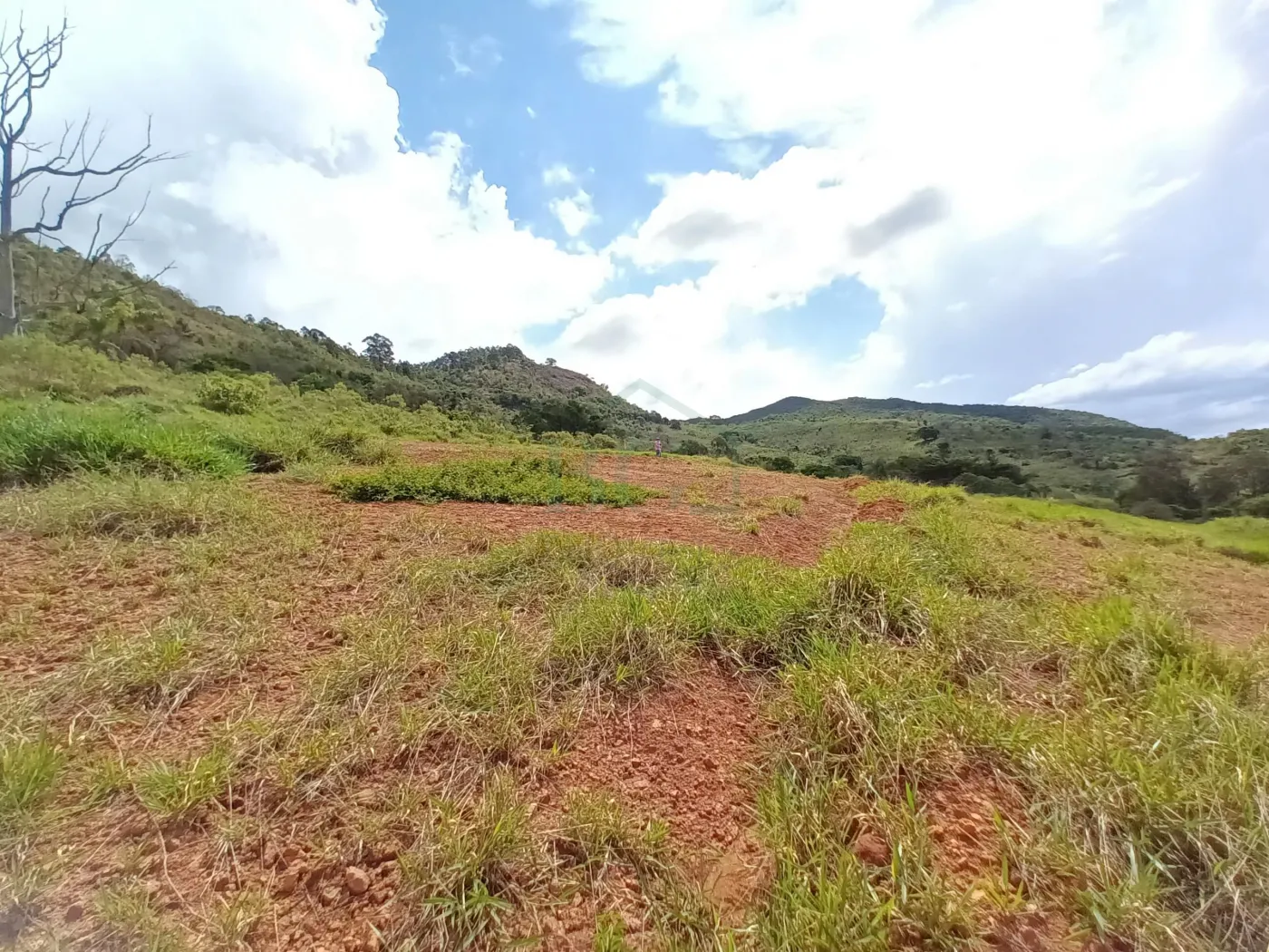 Terreno à venda, 40000m² - Foto 5