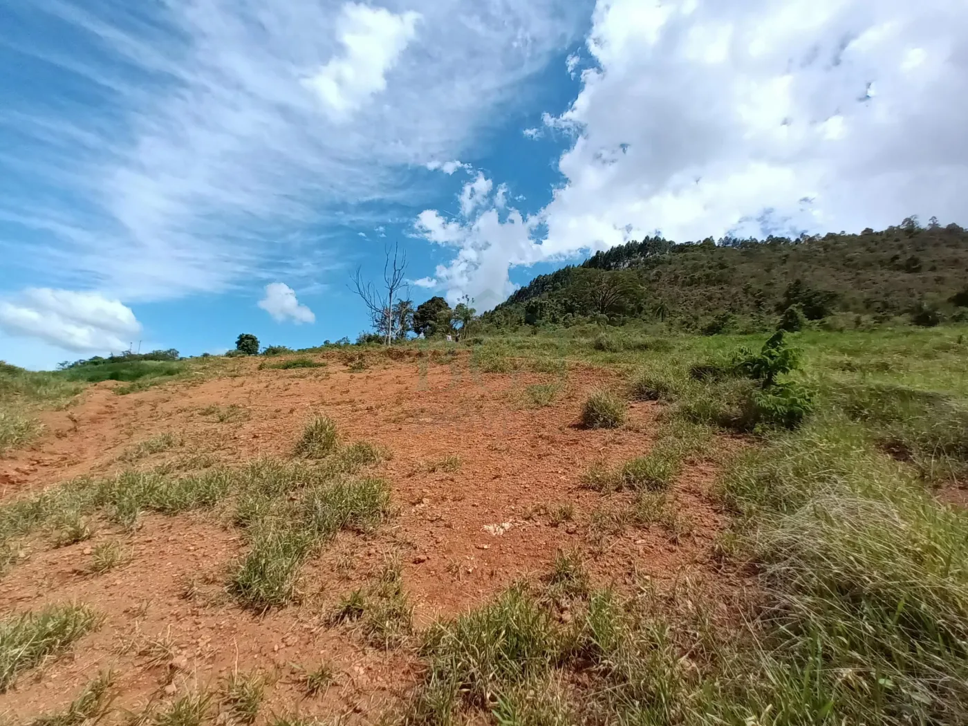 Terreno à venda, 40000m² - Foto 10